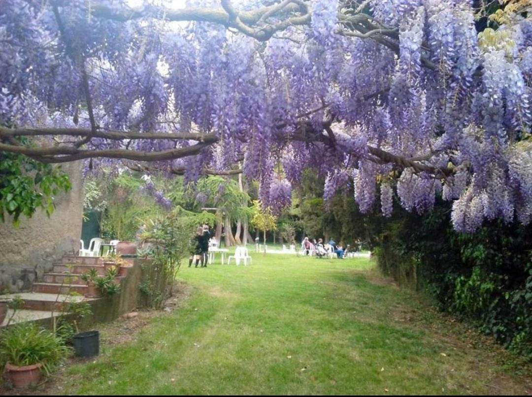Agriturismo Feudo Tudia Landro Esterno foto