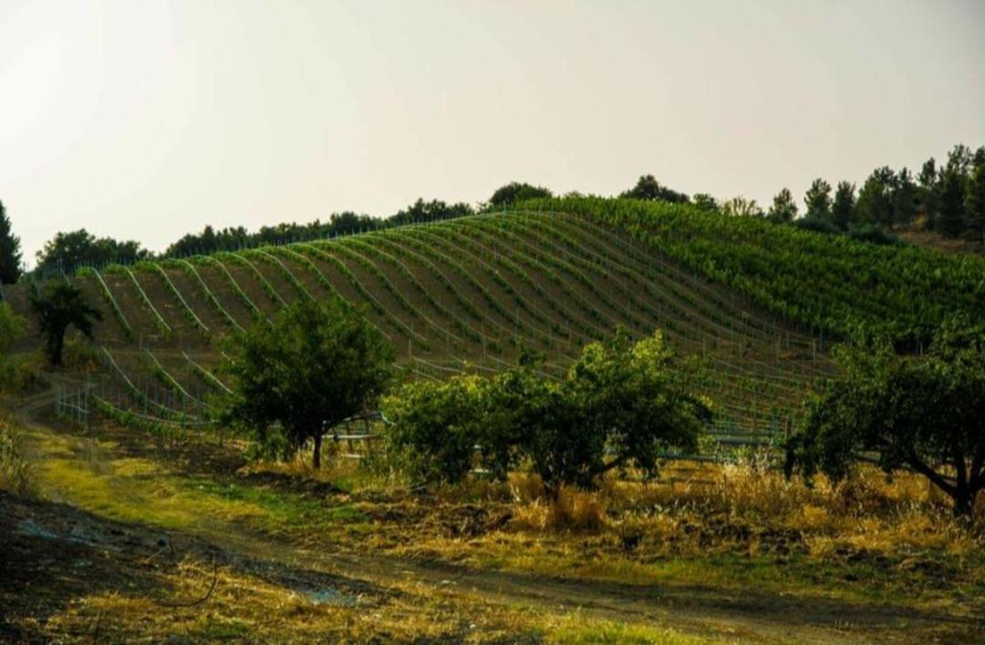 Agriturismo Feudo Tudia Landro Esterno foto